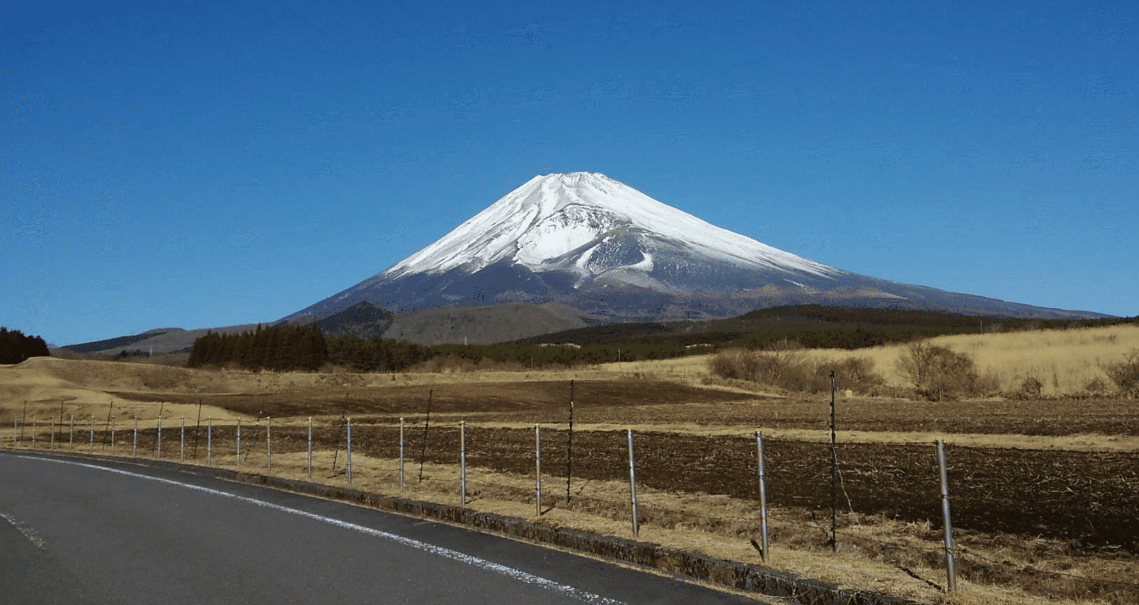 シャネル オファー ホワイトニング